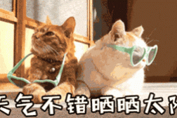 比抖音网红饮料好玩好喝却没大火?替它们实名不服!,日本进口三佳利波子汽水