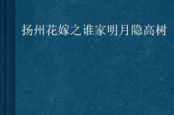 明月隐高树打一字,时光流转,字谜解密