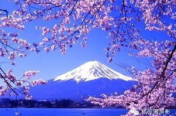 日本摄影技术,从传统到现代的演变与成就